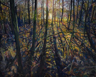 The Dawn ©Peter Weidenbaum